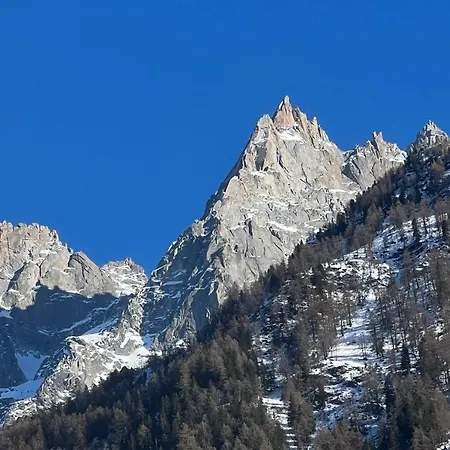 Luxurious With An Exceptional View Of The Mont Blanc Massif Chamonix