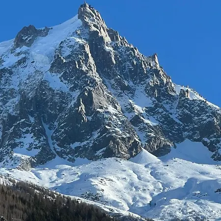 Luxurious With An Exceptional View Of The Mont Blanc Massif *