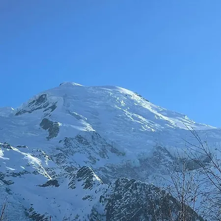 Διαμέρισμα Luxurious With An Exceptional View Of The Mont Blanc Massif Σαμονί